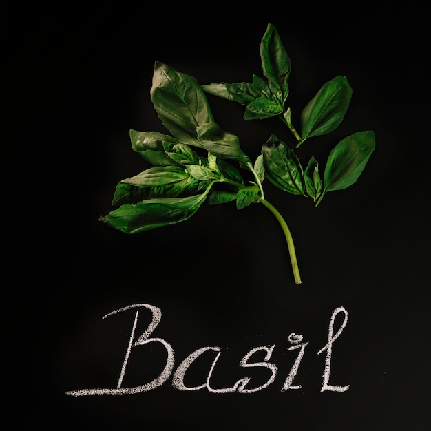 Free photo close-up basil and writing