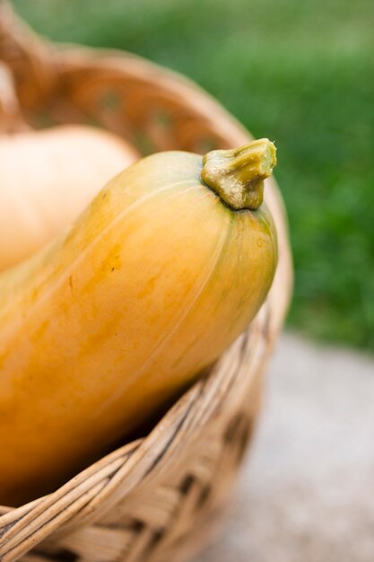 Close-up basket with big garden pumpkins