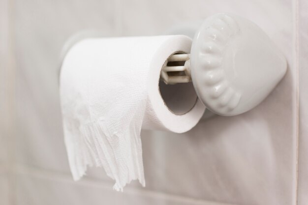 Close-up bath view with toilet paper roll