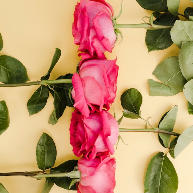 Foto gratuita chiuda in su di belle rose organizzate
