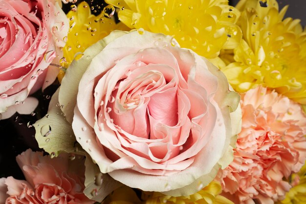 Close up on beautiful blooming flowers