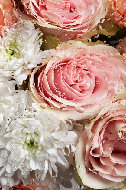 Close up on beautiful blooming flowers