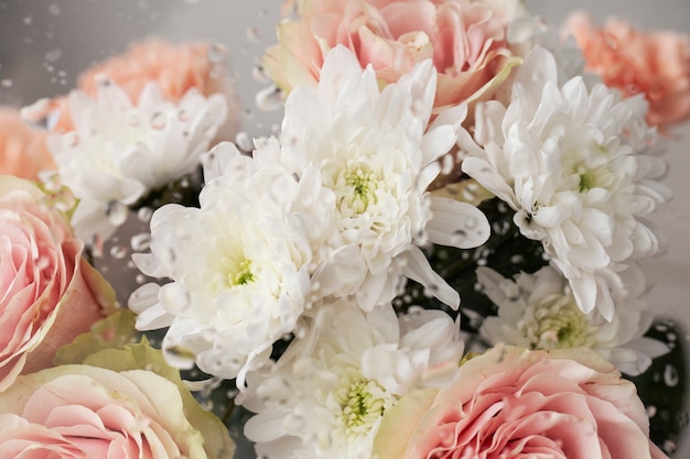 Close up on beautiful blooming flowers