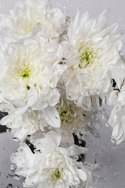 Close up on beautiful blooming flowers