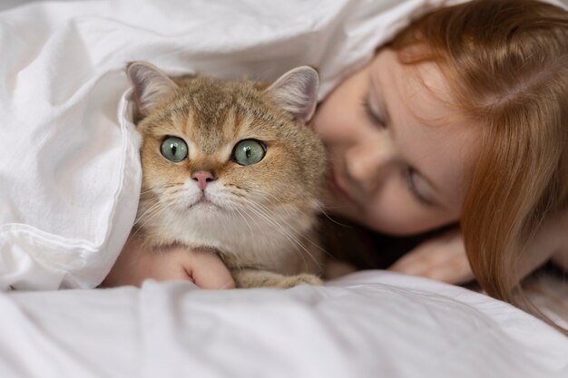 Close up on beautiful cat with little girl