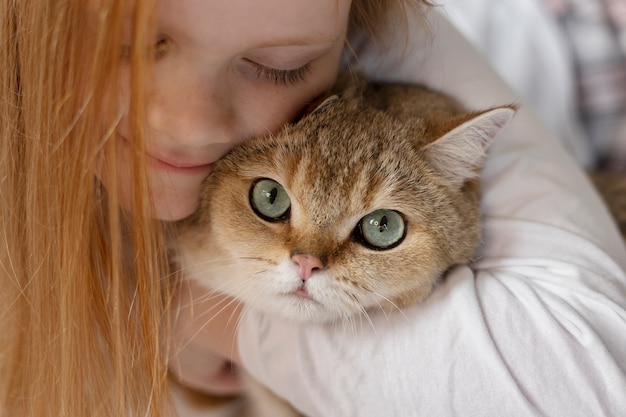 Close up on beautiful cat with little girl