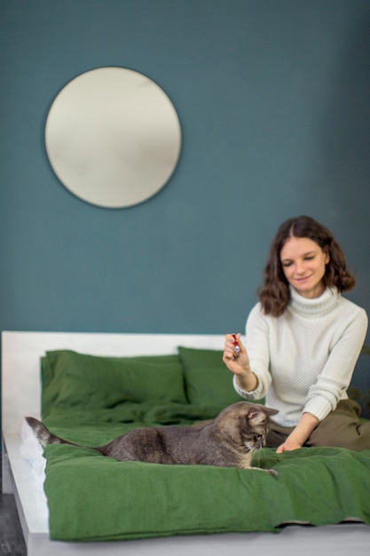 Close up on beautiful cat with the owner