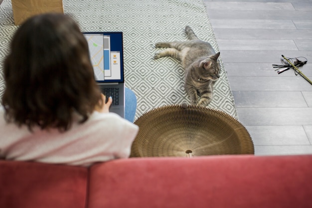 飼い主と一緒に美しい猫のクローズアップ