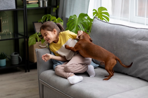 Close up on beautiful dachshund playing with kid
