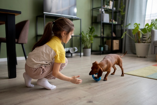 子供と遊ぶ美しいダックスフントのクローズアップ