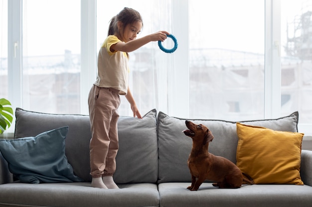 Free photo close up on beautiful dachshund playing with kid