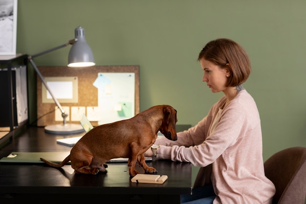 Free photo close up on beautiful dachshund spending time with family