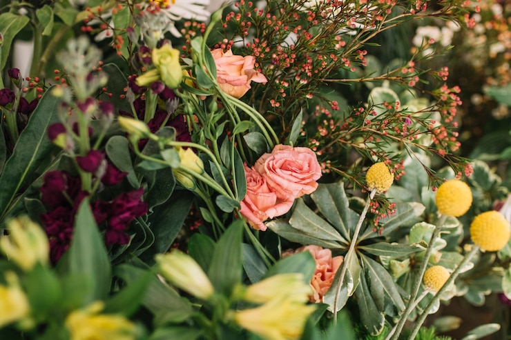 Free Photo close-up beautiful flowers