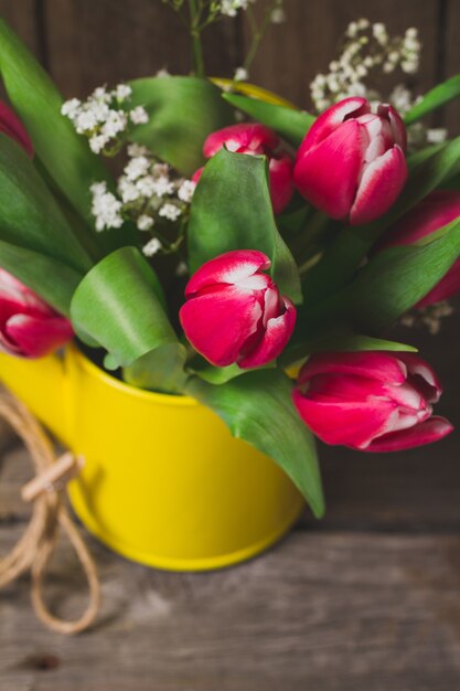 Close-up of beautiful tulips