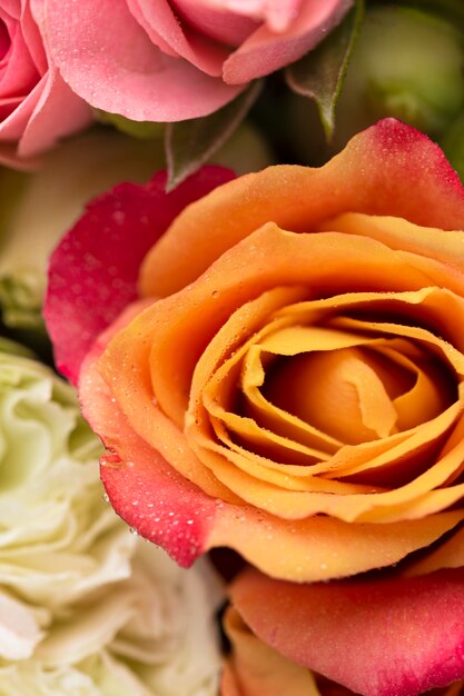 Close-up of beautifully bloomed flowers