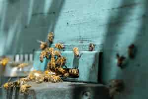 Free photo close-up of a bee swarm on a wooden hive in an apiary