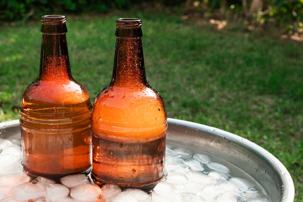 Close up beer bottles in tray with ice