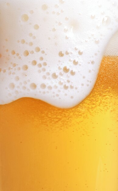 Beer Head Images Free Vectors Stock Photos Psd