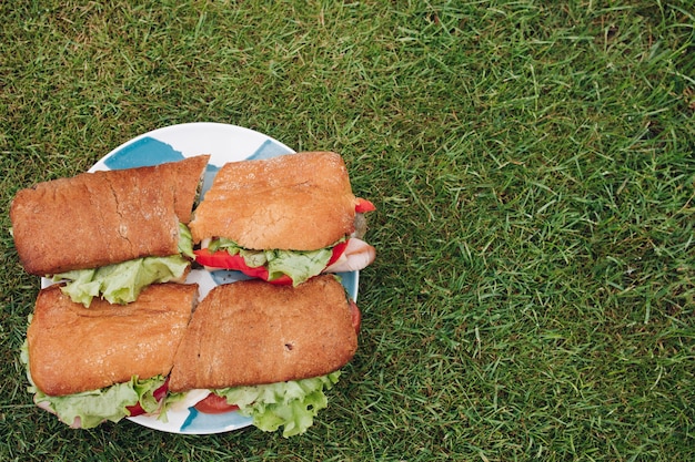 Close-up big plate with appetizing fresh sandwich on green grass