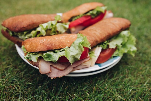 Close-up big plate with appetizing fresh sandwich on green grass