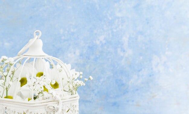 Close-up bird cage with white daisies