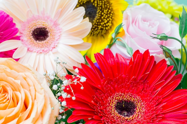 Close-up of blooming flowers gerbera; rose and sunflower