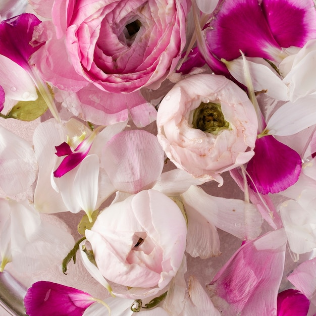 Close-up blooming flowers