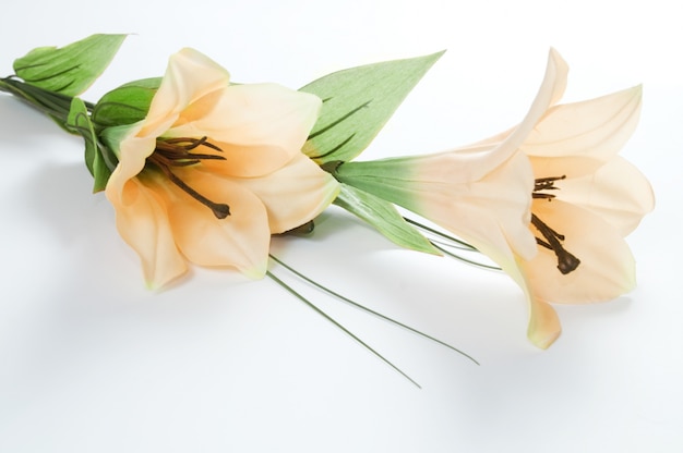 Close-up of blooming lilies