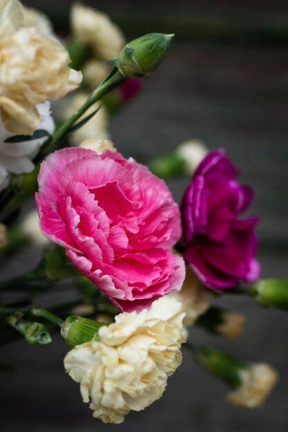 Close-up blossom flowers