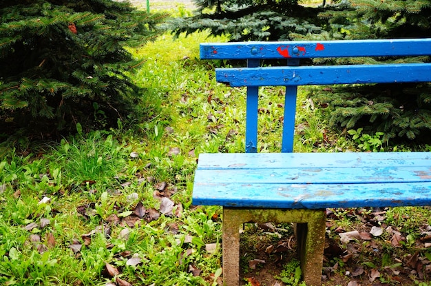 Close up of a blue park bench