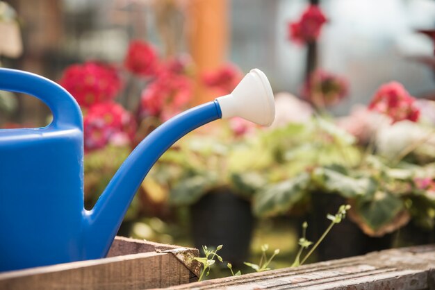 Free photo close-up of a blue watering can in front of flowering plants