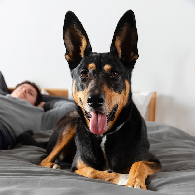 スマイリー犬とぼやけた男をクローズアップ