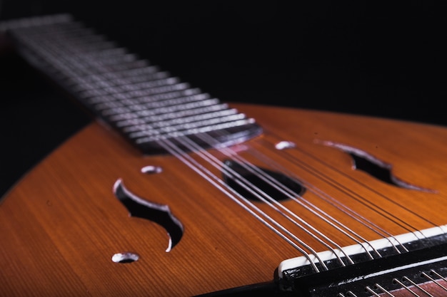 Close-up body and neck of lute