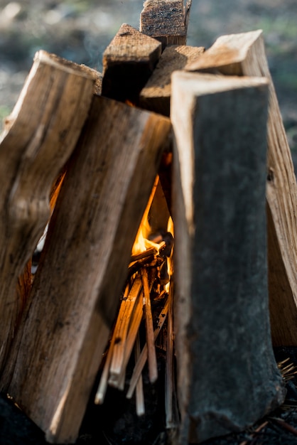 Close-up bonfire outdoor