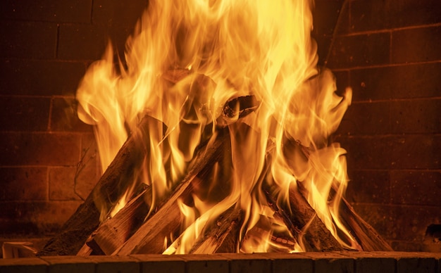 Close-up of a bonfire