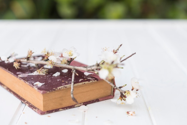 Foto gratuita primo piano di libro su un tavolo con un ramoscello in fiore