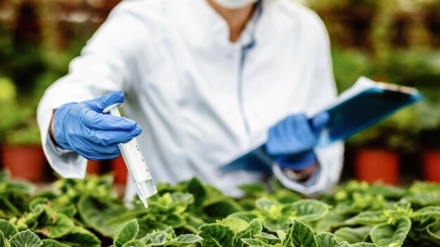 Close up of botanist injecting nutritional fertilizer while working in plant nursery