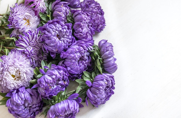 Close-up of a bouquet of fresh blue chrysanthemums on a white background, copy space.