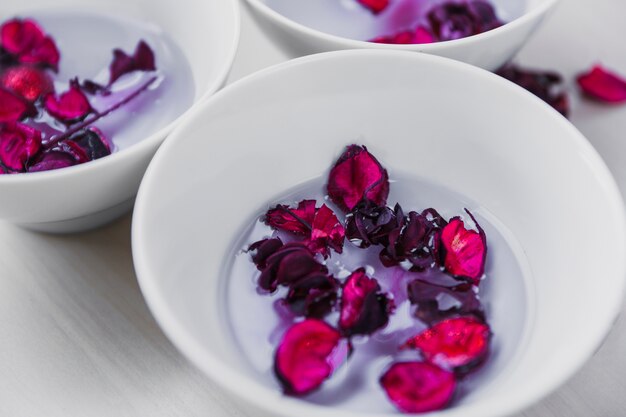 Close-up bowl with petals and water