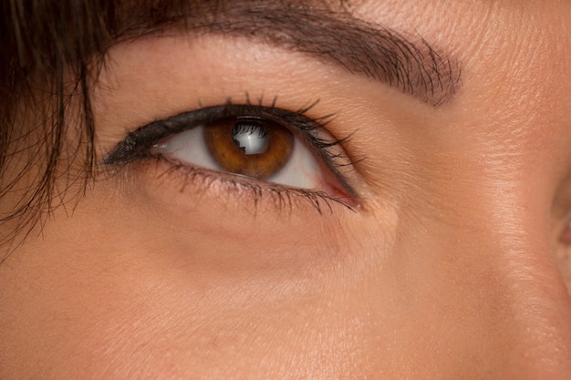 close up Brown eyes on face of young beautiful caucasian girl