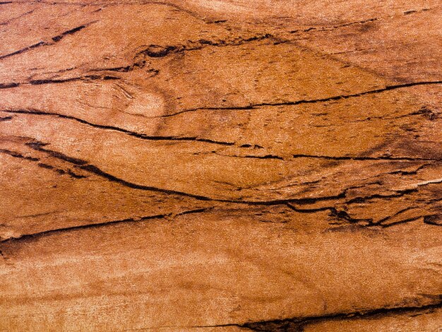 Close-up brown wooden surface