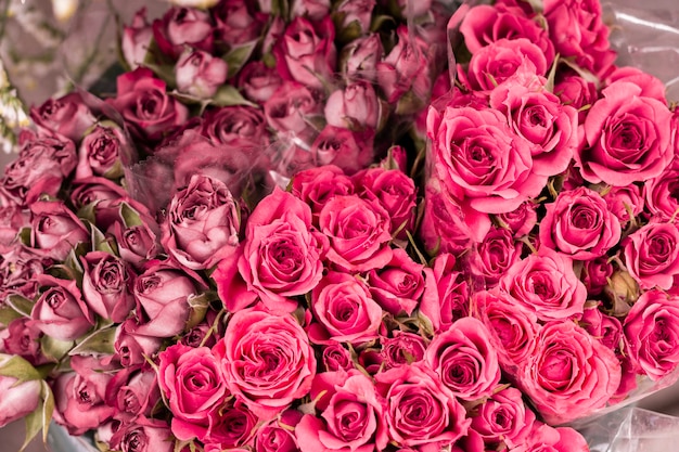 Крупный букет романтических роз