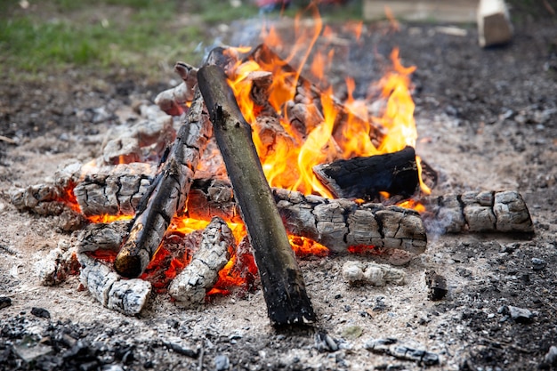 ピクニックで森の中で燃えている焚き火のクローズアップ。