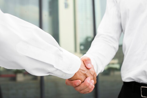 Close-up businessmen shaking hands