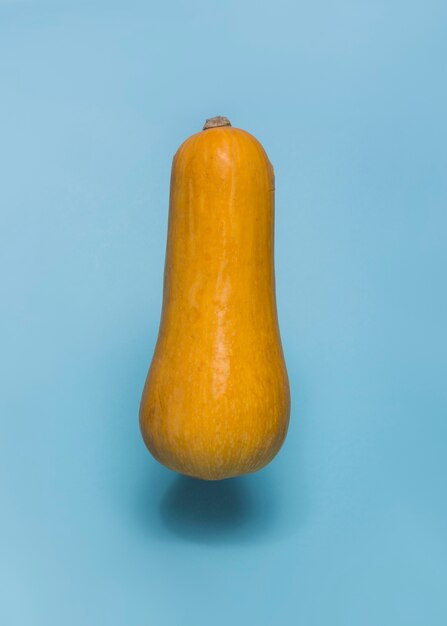 Close-up of a butternaut squash on blue backdrop