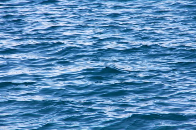 Free photo close-up of calm sea