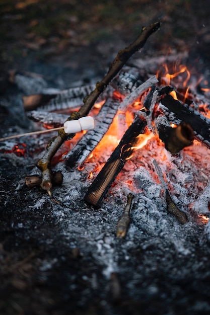 Free photo close-up campfire arrangement