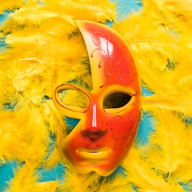 Close-up of carnival mask on feathers