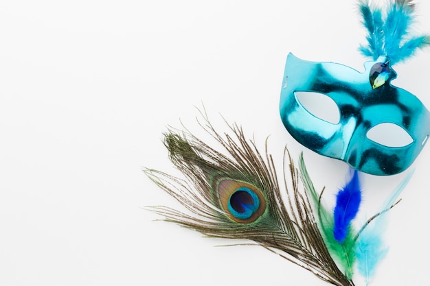 Close-up carnival mask with peacock feather