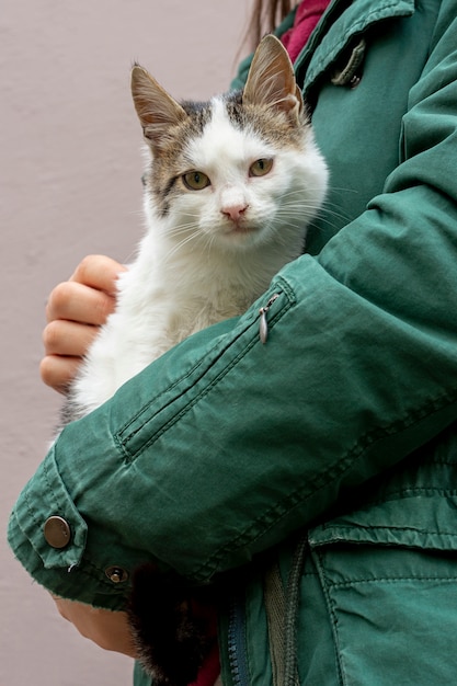 Foto gratuita gatto del primo piano che si siede nelle armi del proprietario